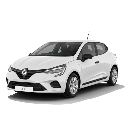 RENAULT CLIO - EVOLUTION DCI 100 - nuovo