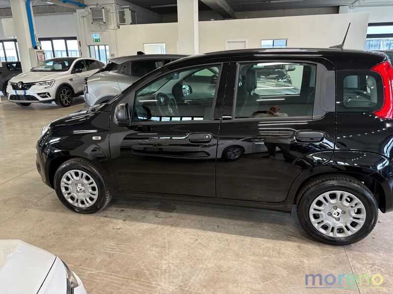 FIAT Panda - 1.0 firefly hybrid s&s 70 CV - km 0