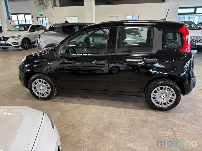 FIAT Panda - 1.0 firefly hybrid s&s 70 CV - km 0