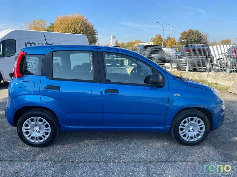 FIAT Panda - Pandina 1.0 firefly hybrid Icon s&s 70 CV - km 0