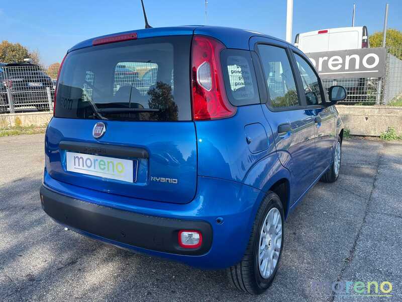 FIAT Panda - Pandina 1.0 firefly hybrid Icon s&s 70 CV - km 0