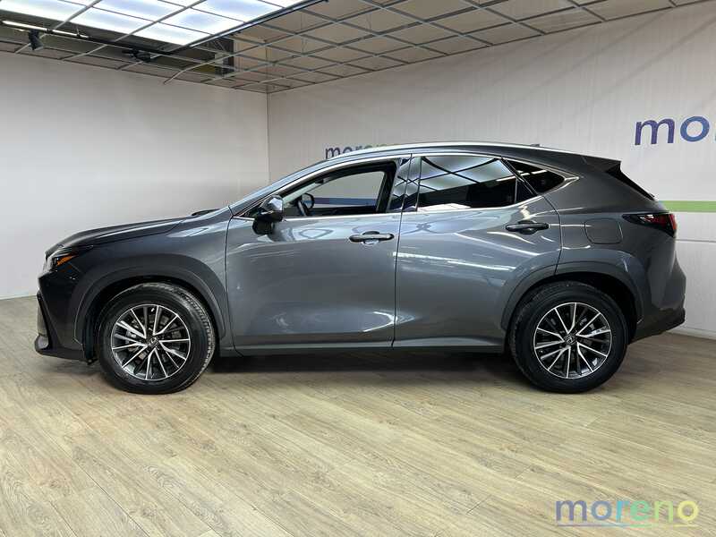 LEXUS NX - 350h 2.5 Premium 4wd e-cvt - usato