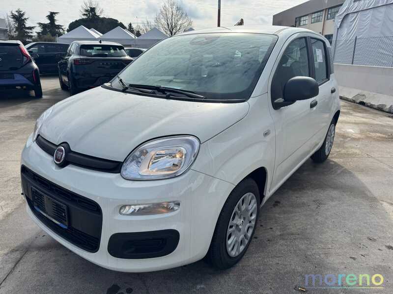 FIAT Panda - Pandina 1.0 firefly hybrid Icon s&s 70 CV - km 0