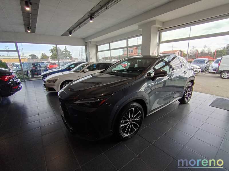 LEXUS NX - 2.5 hybrid Luxury 4wd e-cvt - usato