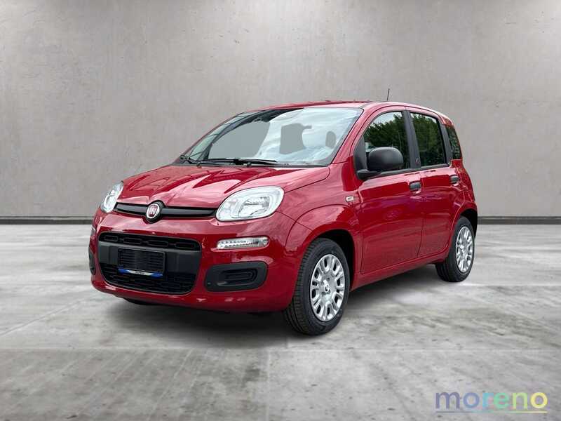 FIAT Panda - Pandina 1.0 firefly hybrid Icon s&s 65 CV - km 0